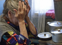 Полиция Борисоглебска разыскивает мошенников, обманувших пенсионерку на 1,5 миллиона рублей