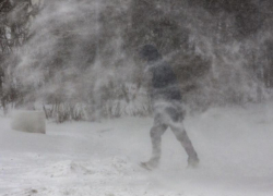 О мощном ветре предупредили жителей Воронежской области спасатели