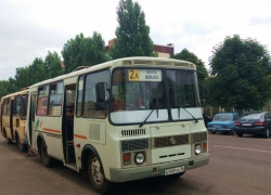 В Борисоглебске в день выборов маршрутные автобусы будут перевозить пассажиров бесплатно 