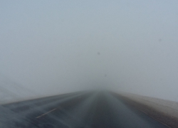 Желтый уровень опасности ввели из-за тумана в Воронежской области