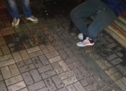 Борисоглебск атакуют «грызуны»! Часть вторая