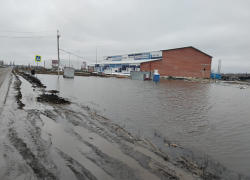 «Видны положительные результаты работы»: правительство Воронежской области – о спортивных объектах, включая Ледовую арену в Борисоглебске