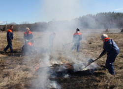 В Воронежской области на две недели раньше введут противопожарный режим