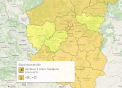 Оранжевый уровень опасности объявили в Воронежской области из-за погоды