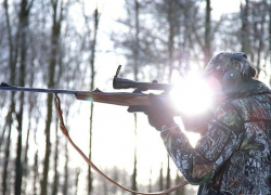  Дикая охота: в Воронежской области любители пострелять более 500 раз нарушили закон 