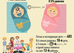 Губернатор Воронежской области  рассказал о росте многодетных семей, но умолчал о сокращении населения региона 