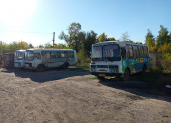 Борисоглебцы могут оценить качество работы общественного транспорта в округе