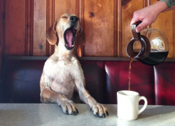 Бывает ли добрым утро в понедельник?! Проснись, взбодрись – тебя ждут трудовые подвиги!