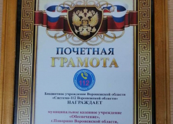 Борисоглебская система-112 уступила Поворино и Таловой