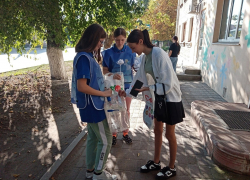 Акция «Белый цветок» в Борисоглебске: помочь детям может каждый 