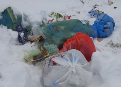 Новохоперцы пожаловались на неубранный коммунальщиками мусор