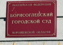Жителю Борисоглебска, забившему насмерть собутыльника, присудили 12 лет тюрьмы