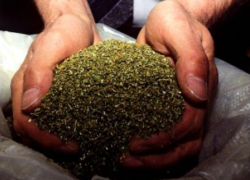 Наркоман из Новохоперска изготавливал марихуану с помощью сита