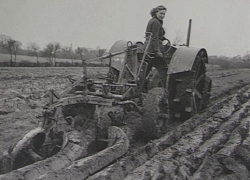 108 жительниц Терновского района в войну сели за штурвалы комбайнов