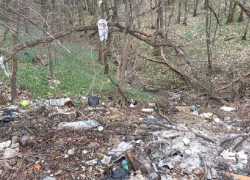 Борисоглебцев и грибановцев позвали на субботник на берег Вороны