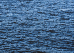 В уходящем году в водоёмах Воронежской области утонули 75 человек