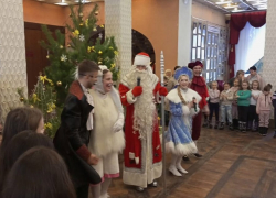 Более 100 бесплатных билетов на новогоднюю сказку подарили многодетным семьям Борисоглебска