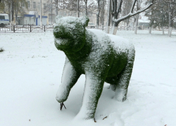 Фото дня: зеленый мишка в сквере Борисоглебска стал белым