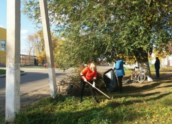 В Борисоглебске объявили месячник благоустройства