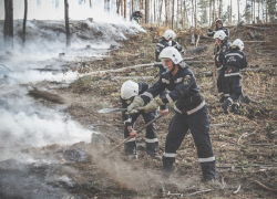 Особый противопожарный режим ввели в Воронежской области на месяц раньше 
