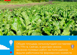 Район трудяг-фермеров: облправительство рассказало о сельхозпредприятиях Терновки 