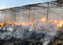 В Новохоперске сгорело полторы тонны сена