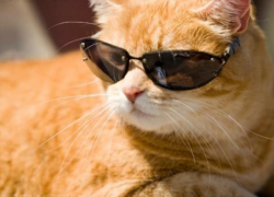 Сухое пекло накроет Воронежскую область на короткой рабочей неделе