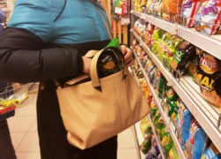 Молодая девушка ограбила магазин на ул. 40 лет Октября г. Борисоглебска