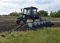 Более 8 тысяч гектаров сельхозкультур пересеят после заморозков в Поворинском районе местные аграрии 