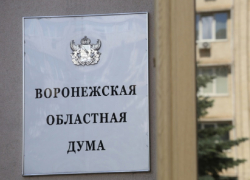 В Воронежской области запустили горячую линию для избирателей