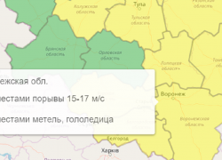 Желтый уровень опасности объявили из-за непогоды на территории Воронежской области