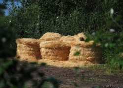  «Князь-град» построят под Борисоглебском, несмотря на пожар