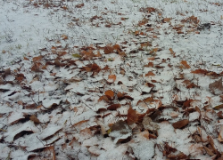 На наступившей неделе природа немного и не надолго побалует борисоглебцев снегом