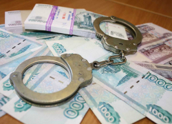 Стали известны подробности задержания  в Борисоглебске поставщиков контрафактного мяса 