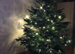 Большинство борисоглебцев украшает к Новому году искусственные елки