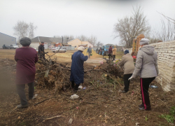 Более пяти тысяч грибановцев приняли участие в общеобластном субботнике