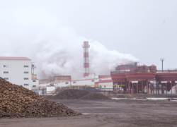 Трое новохоперцев попались на краже сахара с завода