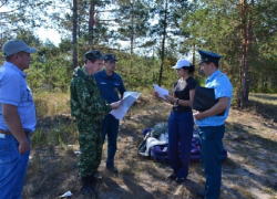 В выходные в Воронежской области усилят патрулирование лесов и мест отдыха граждан