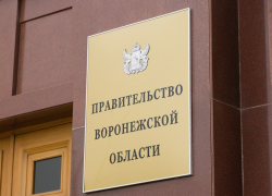 Правительство Воронежской области делает запасы на фоне угрозы коронавируса