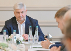 Власти призвали семьи отказаться от одного авто из-за проблем с топливом в Воронежской области