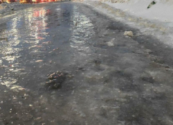 В Воронежской области за неделю вдвое выросло число пострадавших из-за гололёда