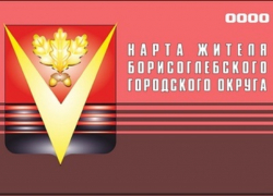 Борисоглебцев призывают получать социальную карту жителя