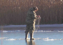 Не все рыбаки Воронежской области  добывали  новогодний улов законным способом