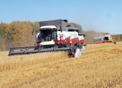 Уборочная страда в Борисоглебском округе пересекла «экватор» 