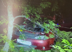 Женщина погибла, а два ребенка оказались в реанимации в результате  ДТП под Борисоглебском 