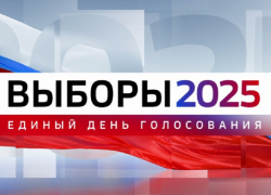 Как в Воронежской области будут работать школы и детские сады в дни выборов