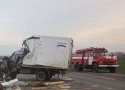 В Грибановском районе  столкнулись две "Газели"