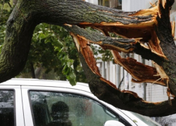 Буйство природы. В Борисоглебске упавшие деревья повредили автомобиль и жилой дом