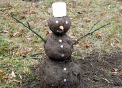 Декабрьская среднемесячная температура в Воронежской области составила 1,5 градуса тепла