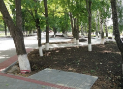 Осенью в центральном сквере Борисоглебска высадят деревья 